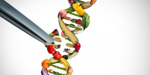NTG : que sont ces techniques qualifiées de « nouveaux OGM » ?