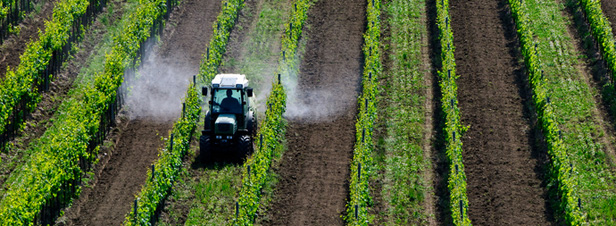 Pesticides : le processus de création des certificats d'économie est lancé