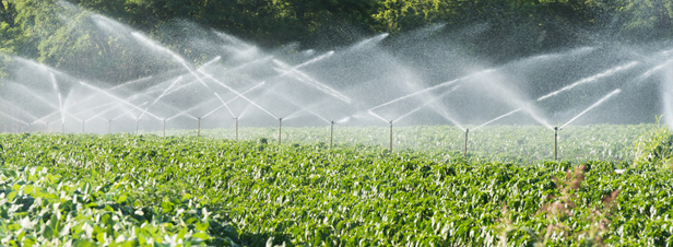 Ressources en eau : les tensions nécessiteront des arbitrages... au détriment de l'agriculture ?