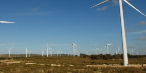 Maroc : qui va financer les éoliennes de l'Office national de l'électricité et de l'eau potable ?