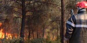 Les préfets doivent déployer une stratégie de prévention des incendies de forêt avant janvier 2016