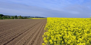 Agrocarburants : les règles européennes sont fixées
