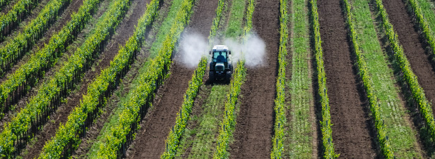 Pesticides : l'enquête sur France 2 bouscule les certitudes