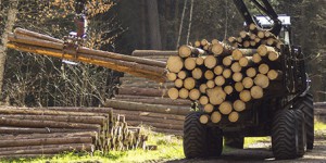 Le nouveau contrat d'objectifs de l'ONF garantit-il un développement durable de la forêt publique ?