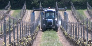 Comment réduire l'usage des pesticides dans les vignes ?