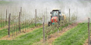 Certificats d'économie de pesticides : c'est parti !