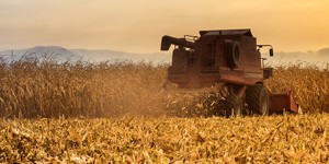 Accusé de partialité, le HCB livre une nouvelle méthode d'analyse des impacts socio-économiques des OGM  