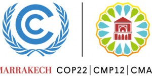 COP 22 : préparer l'application de l'Accord de Paris 