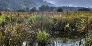 Législation européenne : la France doit progresser sur l'air, la biodiversité et l'eau