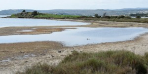L'étang de Salses-Leucate : nouvelle zone humide française reconnu site Ramsar