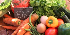 Produits bio, critères d'achat, production personnelle : les pratiques alimentaires des Français à la loupe