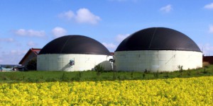 Biogaz : un premier semestre 2017 favorable pour l'injection sur le réseau