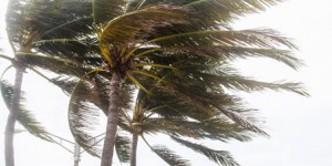 Ouragan Irma : les dommages estimés à 1,2 milliard d'euros pour Saint-Barthélémy et Saint-Martin