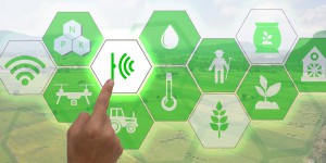 La FNSEA lance un 'contrat de solutions' pour économiser l'usage des phytosanitaires
