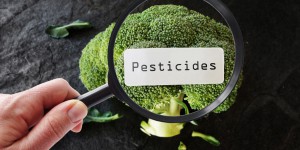 L'Europe consulte sur les pesticides