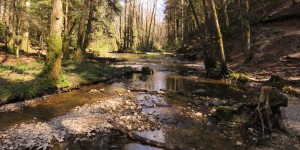 Biodiversité : l'agence de l'eau Rhône-Méditerranée-Corse lance un appel à projets