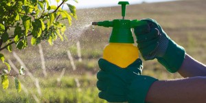 Pesticides : le Parlement européen fixe le mandat de la commission spéciale