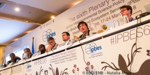 Biodiversité : la France accueillera la 7e session plénière de la plateforme intergouvernementale