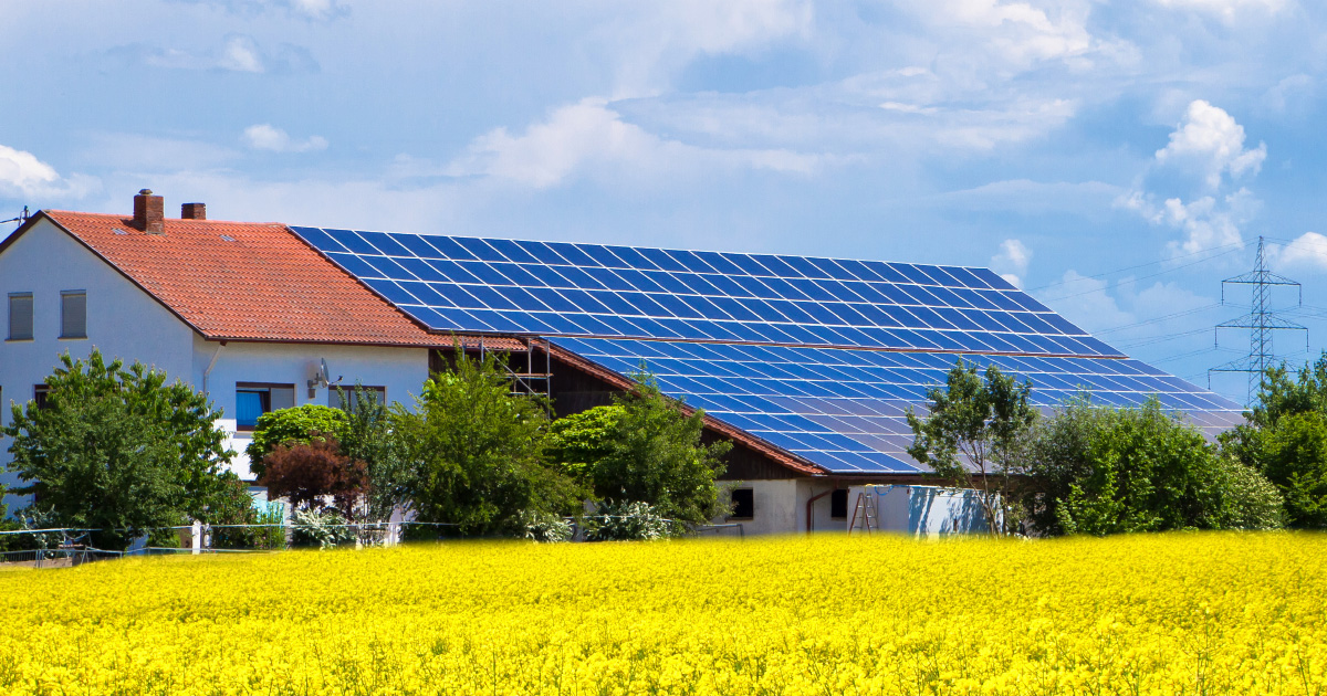 Photovoltaïque : 875 mégawatts ont été installés en 2017