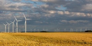 Le Conseil d'Etat rejette les recours contre les dispositifs de soutien aux énergies renouvelables