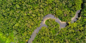 Le gouvernement allège les règles applicables à l'évaluation environnementale en Guyane