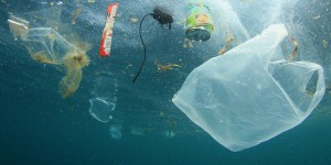 Deux nouvelles études confirment la présence généralisée de plastique dans les océans
