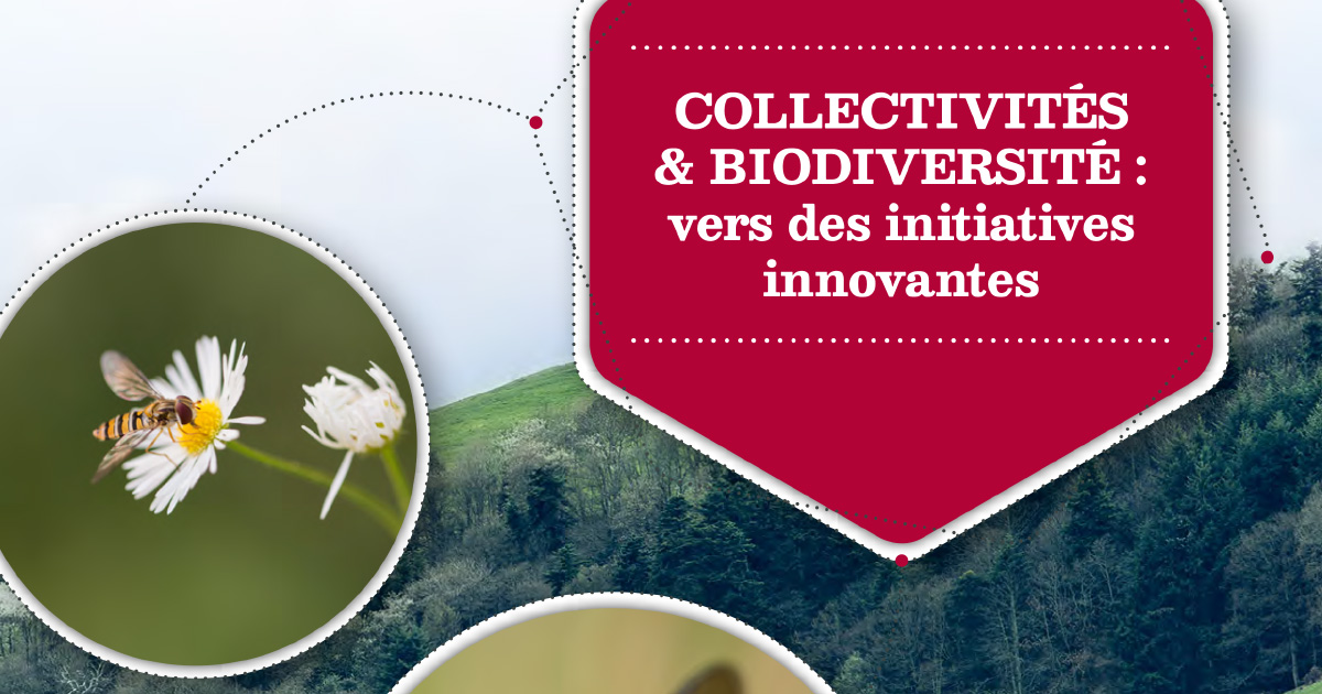 Biodiversité : l'UICN publie quinze leviers d'action pour les collectivités territoriales
