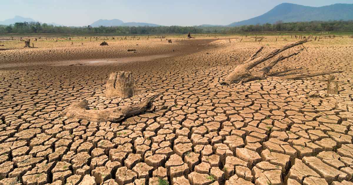 75% des sols de la planète sont dégradés selon le nouvel Atlas de la désertification