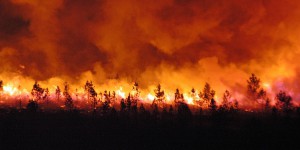 Canicule, incendies, inondations, froid... la planète affronte des situations climatiques extrêmes