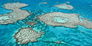 Récifs coralliens : Brune Poirson s'attaque aux substances chimiques