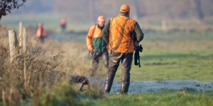 Réforme de la chasse : le malentendu sur la gestion adaptative des espèces
