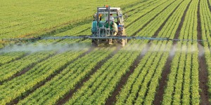 Adoption de la loi agriculture : le recours aux phytosanitaires sera davantage encadré