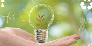 Appel à projets GreenTech verte : vingt nouvelles start-up retenues