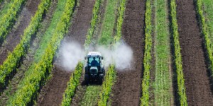 Autorisation des pesticides : le Parlement européen veut une évolution de la réglementation