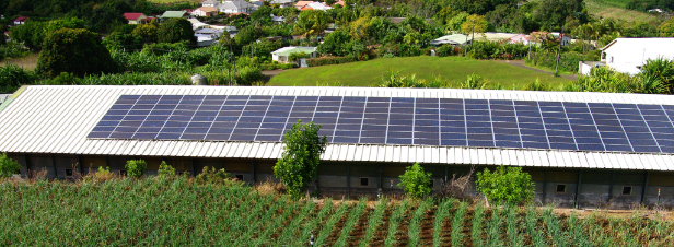 Baromètre des énergies renouvelables : le photovoltaïque poursuit sa hausse