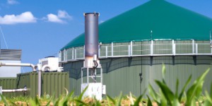 Biogaz : 635 installations raccordées au réseau en 2018