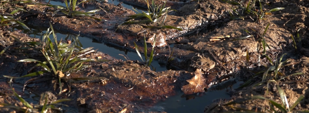 [VIDEO] Yvelines : la rupture d'un pipeline de pétrole pollue champs et cours d'eau