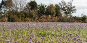 Les agriculteurs français se lancent dans les paiements pour services environnementaux