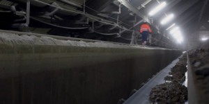 [VIDEO] Bilan carbone du ciment : comment la filière veut changer la donne