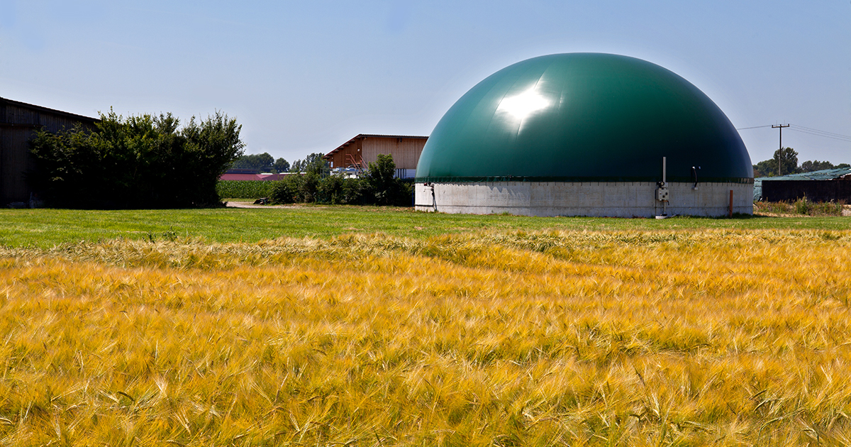 Biogaz : le régime incitatif précisé dans le projet de loi énergie