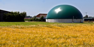 Biogaz : le régime incitatif précisé dans le projet de loi énergie