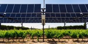 Des démonstrateurs agrivoltaïques en Occitanie pour protéger les vignes des aléas climatiques