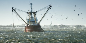 Pêche : une majorité d'eurodéputés vote des aides aux navires néfastes à la biodiversité