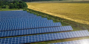 Photovoltaïque : Enerplan lance une étude sur l'impact sur la biodiversité des centrales au sol 