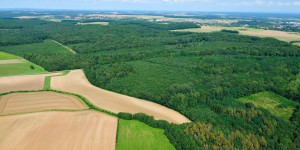 Forêts : le dispositif de lutte contre le mitage en Île-de-France en voie d'être pérennisé 
