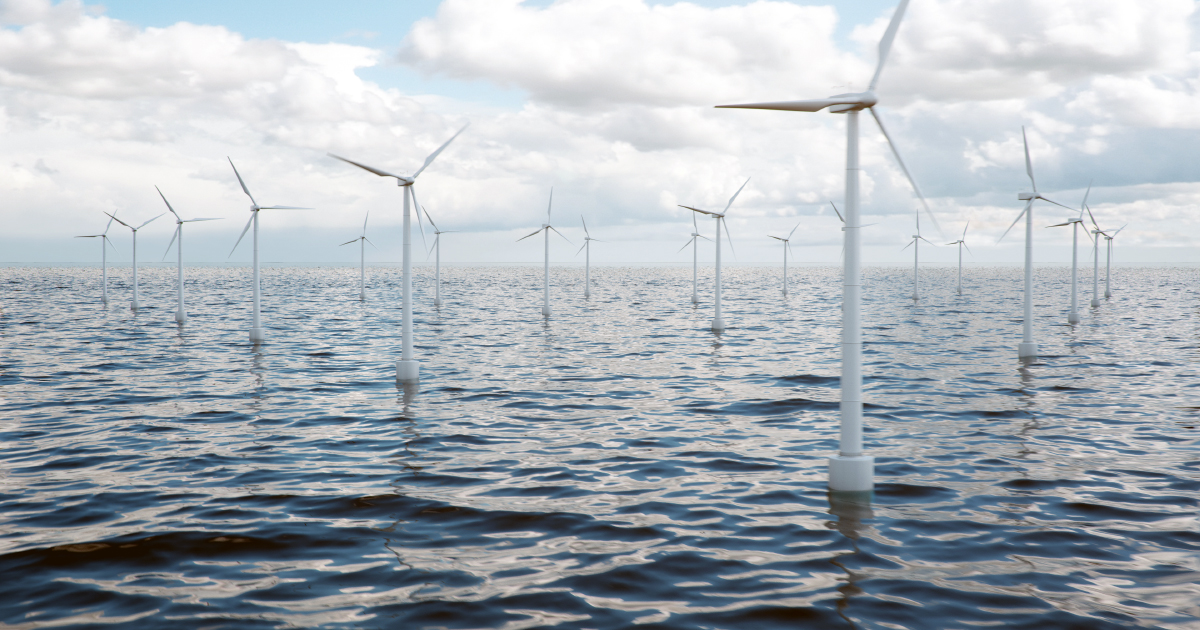 Éolien en mer: lancement d'un groupement d'intérêt scientifique pour la Manche 