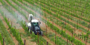 Qualité de l'air : Générations futures réclame une norme sur les pesticides 