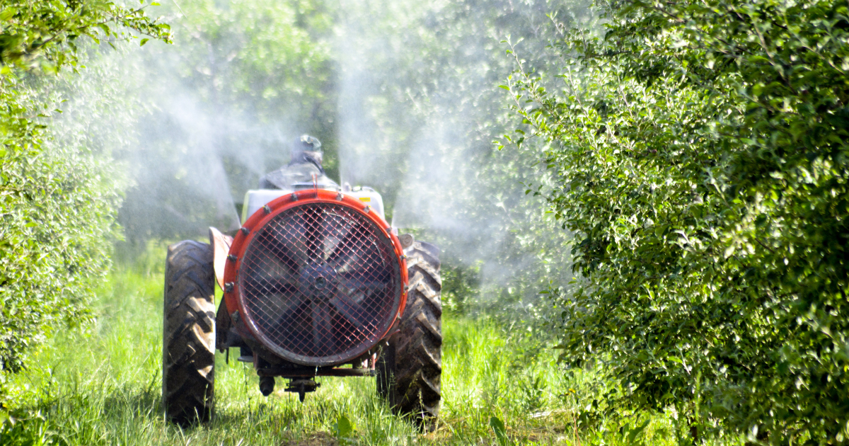 Réduction des pesticides : la PAC n'est pas assez contraignante, estime la Cour des comptes européenne