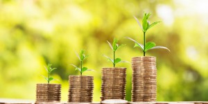 Taxonomie verte : premiers critères pour orienter les finances vers des activités climato-compatibles