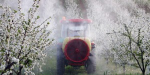 Cocktail de pesticides dans l'alimentation : la réglementation actuelle est suffisante selon l'Efsa